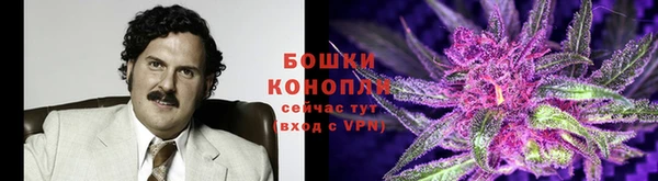 ПСИЛОЦИБИНОВЫЕ ГРИБЫ Алексин