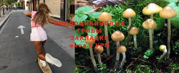 а пвп мука Зерноград