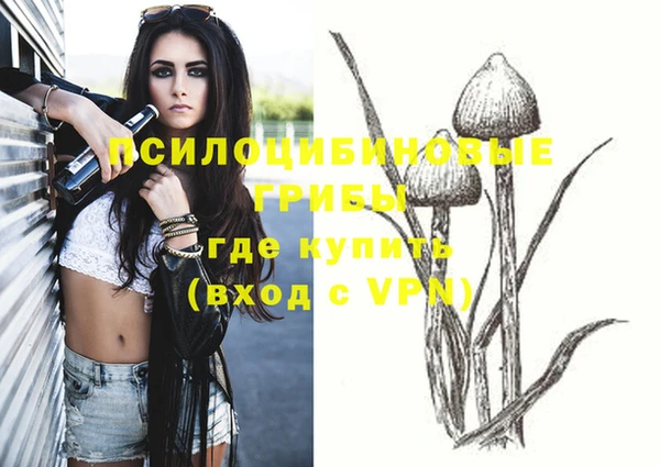 MDMA Premium VHQ Алзамай